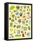 Garden Theme-Geraldine Aikman-Framed Stretched Canvas