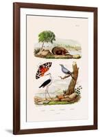 Garden Tiger, 1833-39-null-Framed Giclee Print