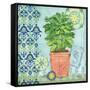 Garden to Table I-Paul Brent-Framed Stretched Canvas