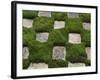 Garden, Tofukuji Temple, Kyoto, Japan-Rob Tilley-Framed Photographic Print