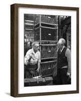 Garden Tool Production, Brades Tools, Sheffield, South Yorkshire, 1966-Michael Walters-Framed Photographic Print