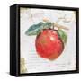 Garden Treasures I-Emily Adams-Framed Stretched Canvas