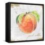 Garden Treasures II-Emily Adams-Framed Stretched Canvas