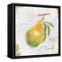 Garden Treasures III-Emily Adams-Framed Stretched Canvas