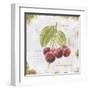 Garden Treasures IV-Emily Adams-Framed Art Print