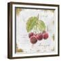 Garden Treasures IV-Emily Adams-Framed Art Print