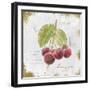 Garden Treasures IV-Emily Adams-Framed Art Print