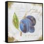 Garden Treasures VI-Emily Adams-Framed Stretched Canvas