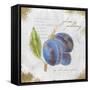 Garden Treasures VI-Emily Adams-Framed Stretched Canvas