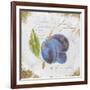 Garden Treasures VI-Emily Adams-Framed Art Print