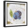 Garden Treasures VI-Emily Adams-Framed Art Print