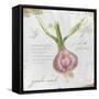 Garden Treasures XI-Emily Adams-Framed Stretched Canvas