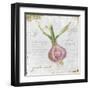 Garden Treasures XI-Emily Adams-Framed Art Print