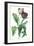 Garden Tulip, from 'Opera Botanica', Engraved by Le Grand, Published 1760s-Gerard Van Spaendonck-Framed Giclee Print