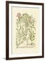 Garden Varietals I-Johann Wilhelm Weinmann-Framed Art Print