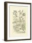 Garden Varietals IV-Johann Wilhelm Weinmann-Framed Premium Giclee Print