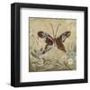 Garden Variety Butterfly IV-Alan Hopfensperger-Framed Art Print