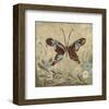 Garden Variety Butterfly IV-Alan Hopfensperger-Framed Art Print