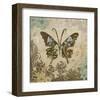 Garden Variety Butterfly V-Alan Hopfensperger-Framed Art Print