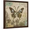 Garden Variety Butterfly V-Alan Hopfensperger-Framed Art Print