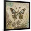 Garden Variety Butterfly V-Alan Hopfensperger-Framed Art Print