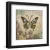 Garden Variety Butterfly V-Alan Hopfensperger-Framed Art Print