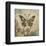 Garden Variety Butterfly V-Alan Hopfensperger-Framed Art Print