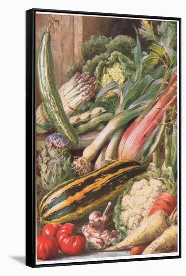 Garden Vegetables, Illustration from 'Garden Ways and Garden Days'-Louis Fairfax Muckley-Framed Stretched Canvas