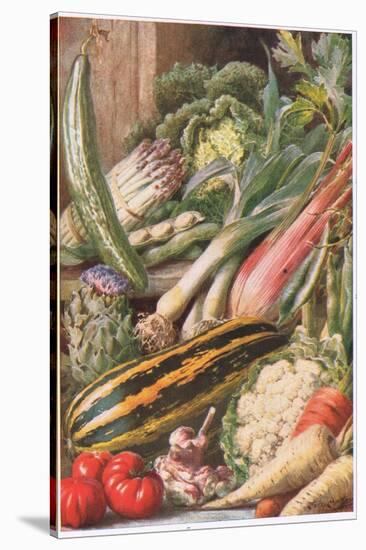 Garden Vegetables, Illustration from 'Garden Ways and Garden Days'-Louis Fairfax Muckley-Stretched Canvas