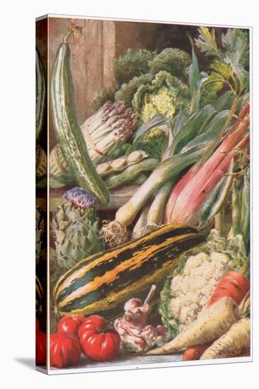 Garden Vegetables, Illustration from 'Garden Ways and Garden Days'-Louis Fairfax Muckley-Stretched Canvas