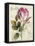 Garden View II-Lisa Audit-Framed Stretched Canvas