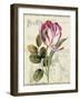 Garden View II-Lisa Audit-Framed Art Print