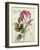 Garden View II-Lisa Audit-Framed Premium Giclee Print