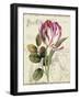 Garden View II-Lisa Audit-Framed Premium Giclee Print