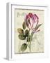 Garden View II-Lisa Audit-Framed Premium Giclee Print