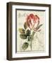 Garden View II-Lisa Audit-Framed Art Print