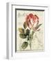 Garden View II-Lisa Audit-Framed Art Print