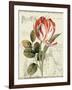 Garden View II-Lisa Audit-Framed Art Print