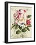 Garden View III-Lisa Audit-Framed Art Print