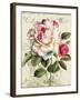 Garden View III-Lisa Audit-Framed Art Print