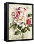 Garden View III-Lisa Audit-Framed Stretched Canvas