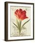 Garden View III-Lisa Audit-Framed Art Print