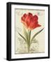 Garden View III-Lisa Audit-Framed Art Print