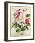 Garden View III-Lisa Audit-Framed Art Print