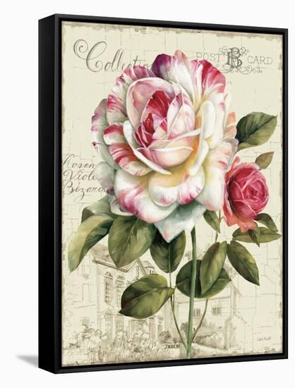 Garden View III-Lisa Audit-Framed Stretched Canvas