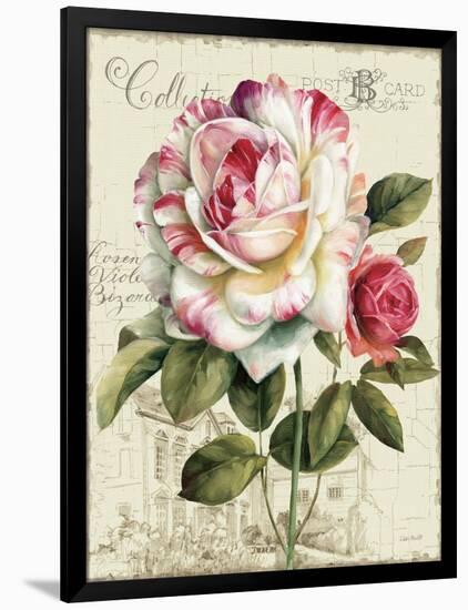 Garden View III-Lisa Audit-Framed Art Print