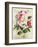 Garden View III-Lisa Audit-Framed Art Print