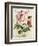 Garden View III-Lisa Audit-Framed Art Print