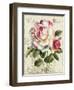 Garden View III-Lisa Audit-Framed Art Print