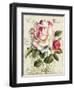 Garden View III-Lisa Audit-Framed Art Print